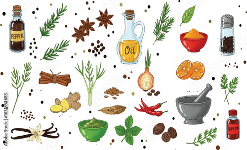 Culinary set with herbs, spices, and condiments for cooking on white background