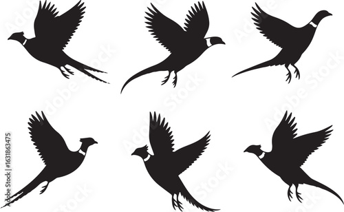 Set of six flying pheasant silhouettes. A vector graphic icon collection of wild game birds in various flight positions.