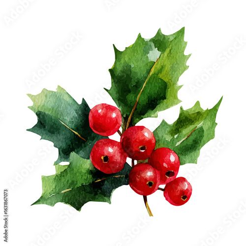 A soft and minimal watercolor rendering of Christmas holly berries with pine leaves, hand-drawn in a clean artistic style, isolated on white, vector format. simple illustration, eps