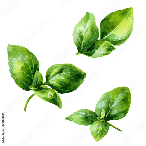 Botanical green basil leaves in diagonal artwork in a dreamy watercolor style, AI-assisted vector design in EPS format, isolated against a pure white background.
