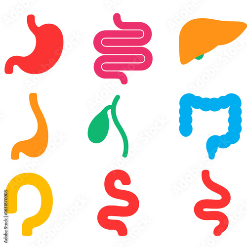 Vivid Digestive Icons. Flat vector icons of digestive system organs: stomach icon, intestines loop, liver outline, pancreas shape,