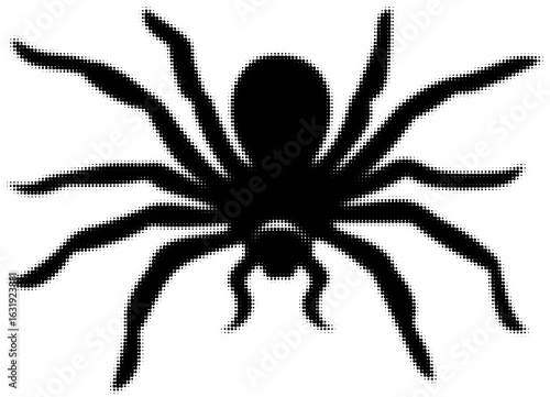 Silhouette of spider with detailed legs and body creating a striking pattern