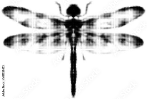Detailed halftone dragonfly illustration with monochrome wings symmetry