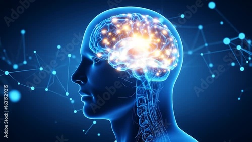 Wallpaper Mural Human Brain Anatomy: Dynamic Neural Network Visualization Torontodigital.ca