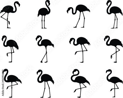 Flamingo silhouette collection, tropical bird poses, standing flamingo, walking flamingo, wading bird, exotic wildlife, perfect for summer, nature, beach, and tropical designs