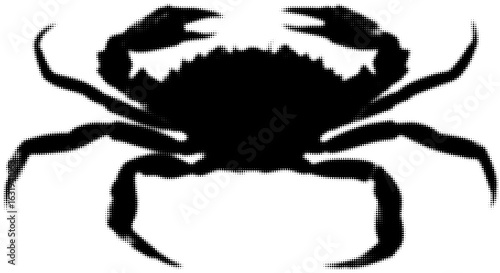 Silhouette of a crab in black, vector illustration