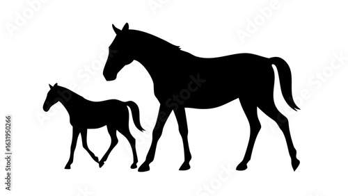 Silhouette of a mare and foal walking side by side in a field with a plain white background scene here