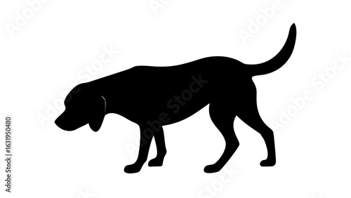 Silhouette of a dog standing with its head lowered as if sniffing the ground on a white background