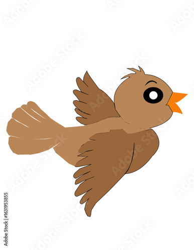 sparrow