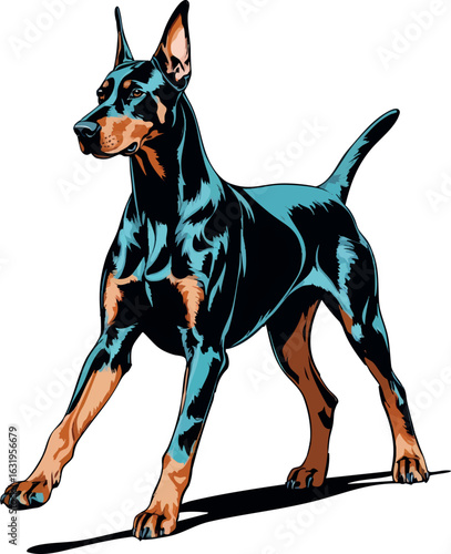 Line art vector of doberman walking alert, cropped ears and slim body, vector-friendly, isolated on white