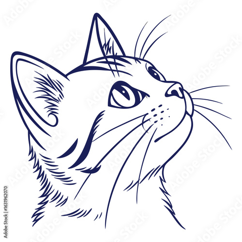 Art Cat Face with Whisker Detail on White Background