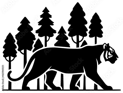 Tiger walking in forest with tiger drinking water and climbing trees slowly