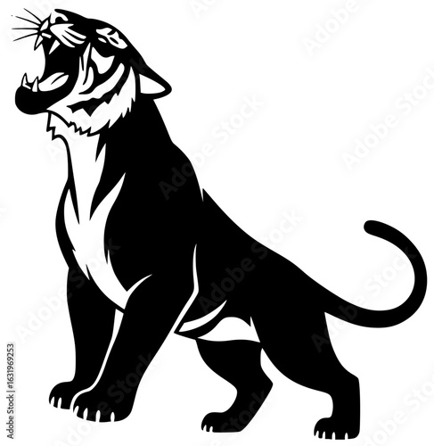 Tiger walking in forest with tiger drinking water and climbing trees slowly