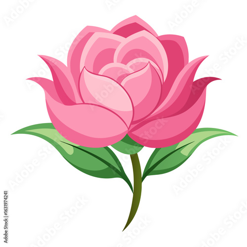  maiden pink line art vector  illustration on white background