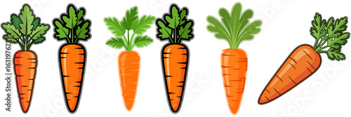 Vibrant Carrots Arranged in a Row, Representing Freshness and a Healthy Lifestyle, on a White Backdrop.