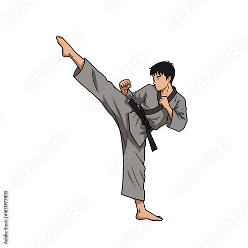 An illustrated martial artist wearing a grey gi and black belt executes a dynamic high kick.