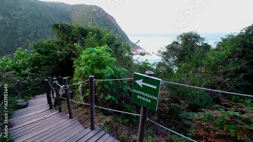 Wooden walkway trail leading down to Storms River suspension bridge, Tsitsikamma