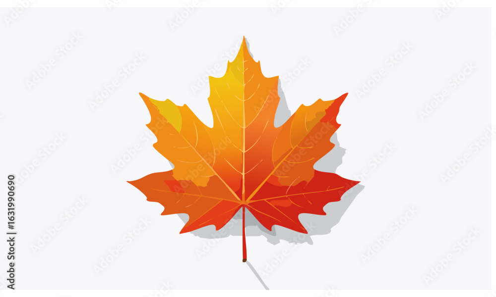 Fototapeta premium autumn maple leaf