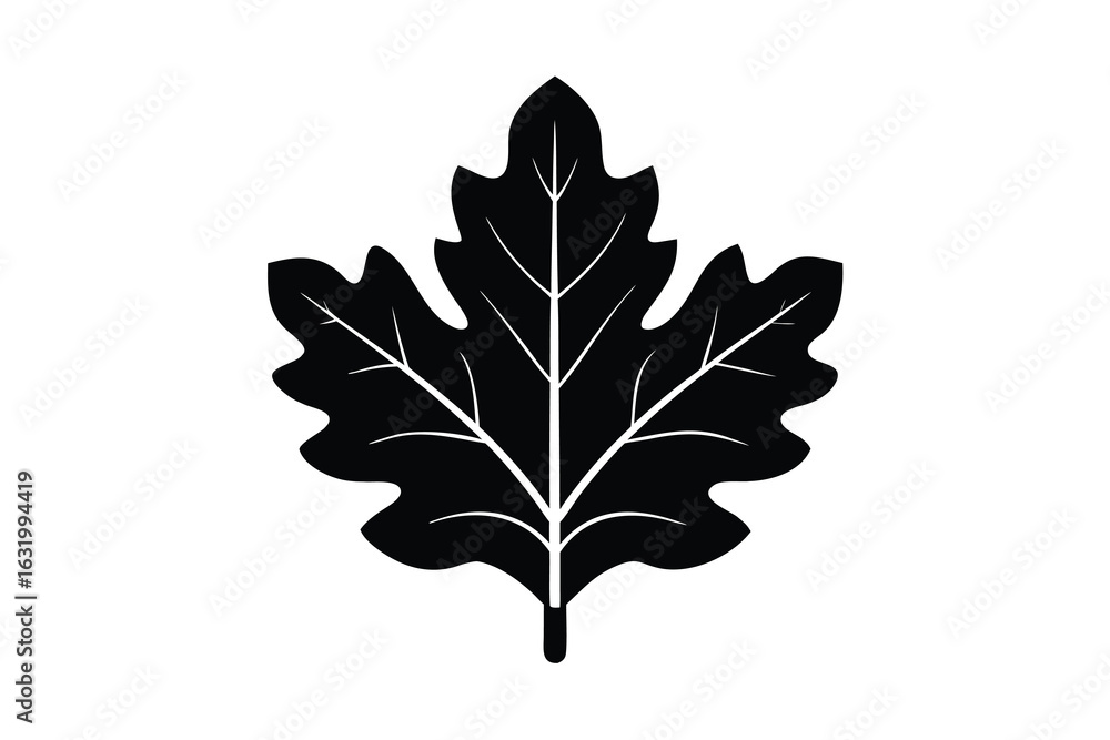 Fototapeta premium Vector art of black oak leaf silhouette isolated on white background