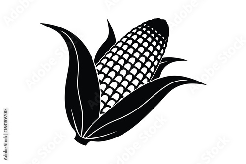 Vector art of corn on the cob with leaves, isolated on white background