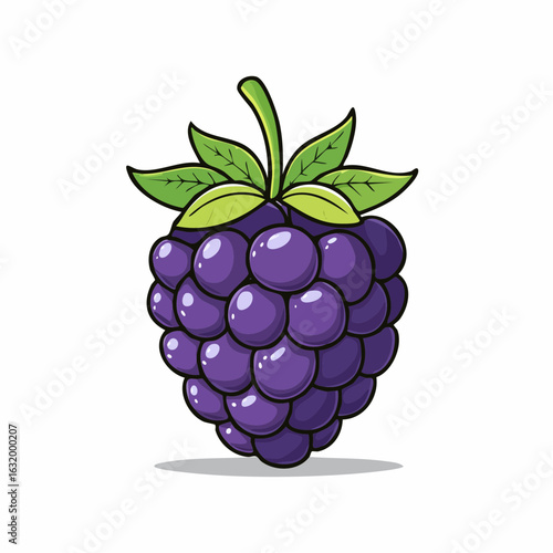 Vibrant cartoon illustration of a ripe blackberry with luscious leaves in white background
