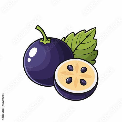 Detailed illustration showcasing a dameer fruit with a cut section revealing its inner content