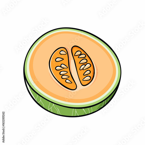 Illustration of a cantaloupe melon cut in half displaying seeds on white background