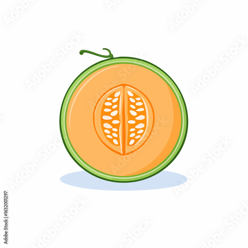 Illustration of a ripe cantaloupe melon showcasing its vibrant orange flesh and seeds