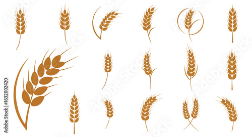 Collection of golden wheat stalks and ears in a stylized silhouette design. vector design. Silhouette vector design illustration
