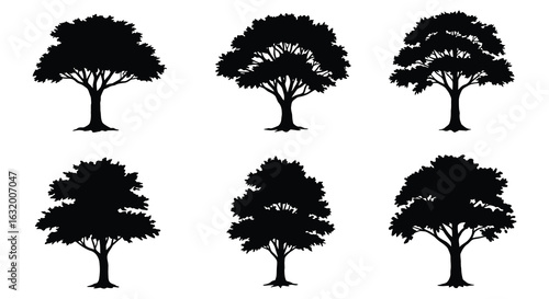 Collection of six detailed deciduous tree silhouettes in black on a white background silhouette. vector design. Silhouette vector design illustration
