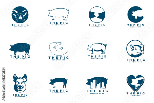 Pig animal logo design vector set. Collection of Pig farm logo design icon