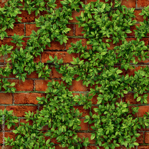 Wallpaper Mural An image depicts a brick wall with green leaves climbing and spreading across the red brick surface. The leaves create a natural pattern. Torontodigital.ca