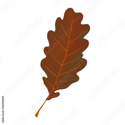Autumn fall oak leaves