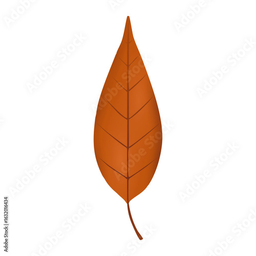 Autumn fall pincherry leaf