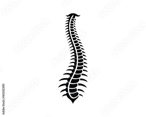 Spinal Column Silhouette