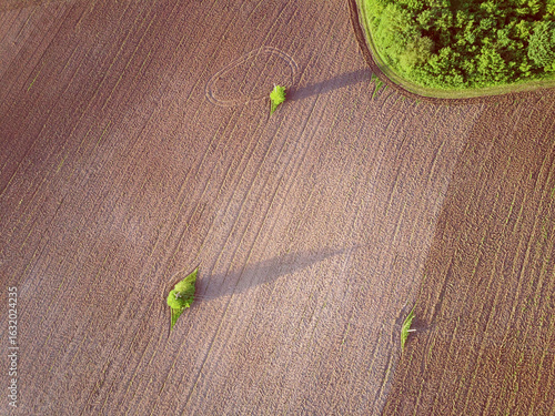 Aerial top view landscape with plowed fields and trees on spring sunny day
