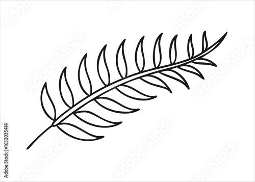 Elegant line art depiction of a fern frond with gracefully curled ends rendered in striking black ink isolated on white background