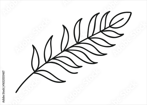 Elegant line art illustration of a delicate fern frond with gracefully curled ends presented as a single graphic element isolated on white background