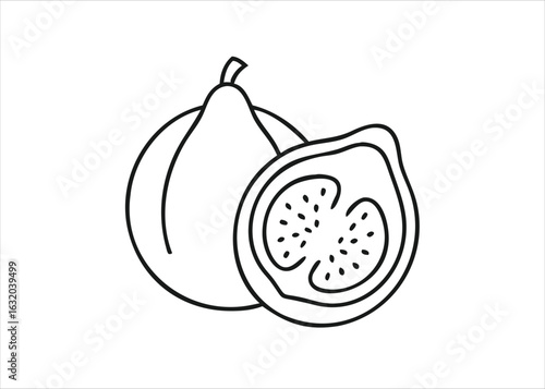 Artistic line drawing of a fresh fig fruit and a juicy slice showing internal texture isolated on white background