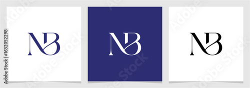 NB or BN Initial Letter Abstract Logo Vector Element , Initial Logo for Brand Vector Design Graphic