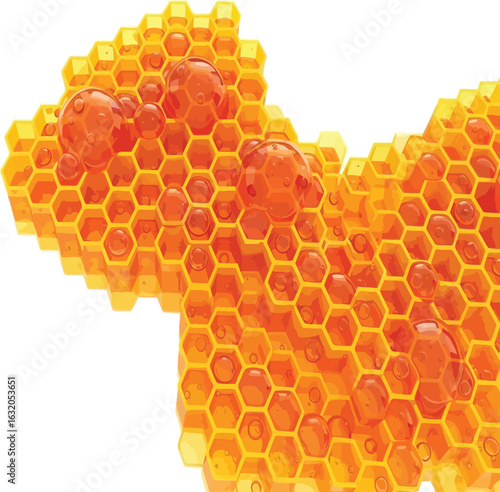 vector, illustration, bee nest with honey, sweet food, bees, products