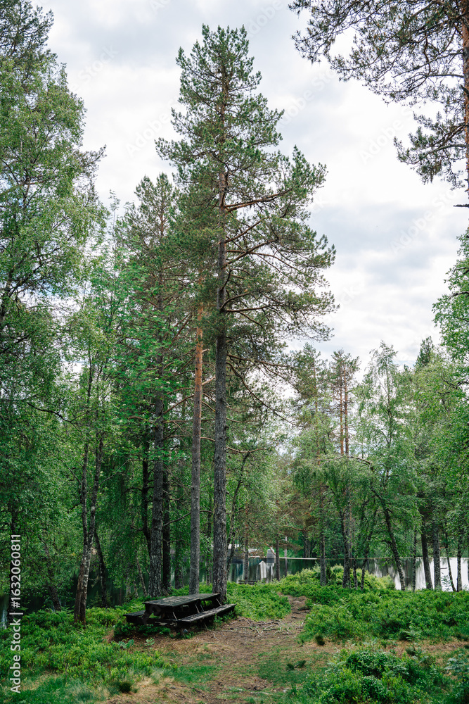 Obraz premium Tranquil Forest Scene with Wooden Picnic Table Amidst Tall Lush Trees by Serene Lakeside Under Cloudy Sky