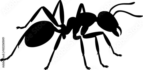 Ant Silhouette Vector Illustration