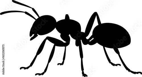 Ant Silhouette Vector Illustration