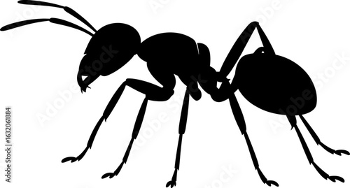 Ant Silhouette Vector Illustration