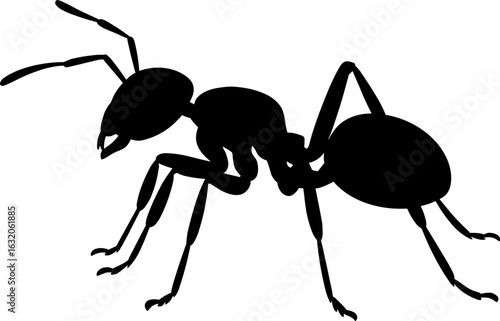 Ant Silhouette Vector Illustration