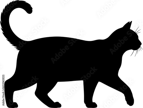 Cat Silhouette Vector Illustration