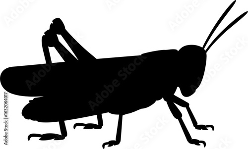 Grasshopper Silhouette Vector Illustration