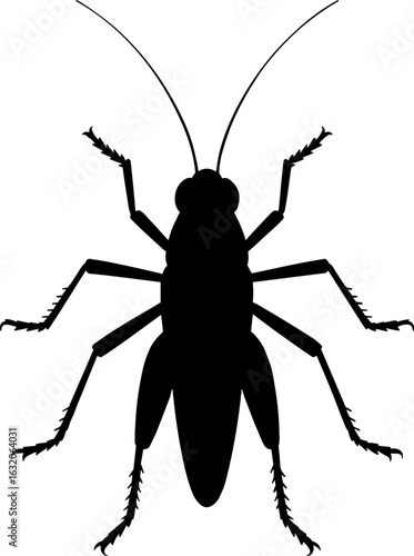 Grasshopper on Top View Silhouette Vector Illustration