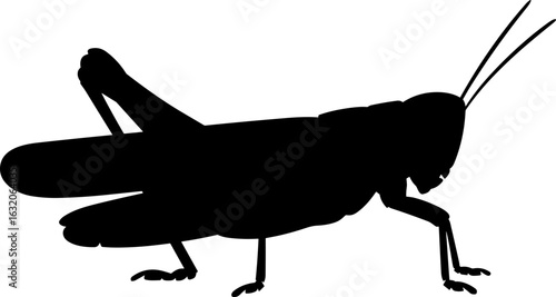 Grasshopper Silhouette Vector Illustration